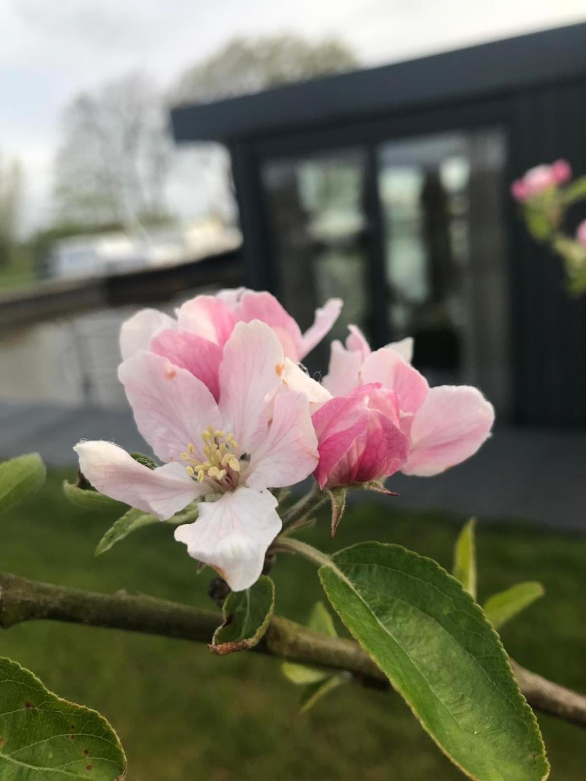 Uniek Overnachten In Een Tiny House Op De Appelhof Wommels Bagian luar foto