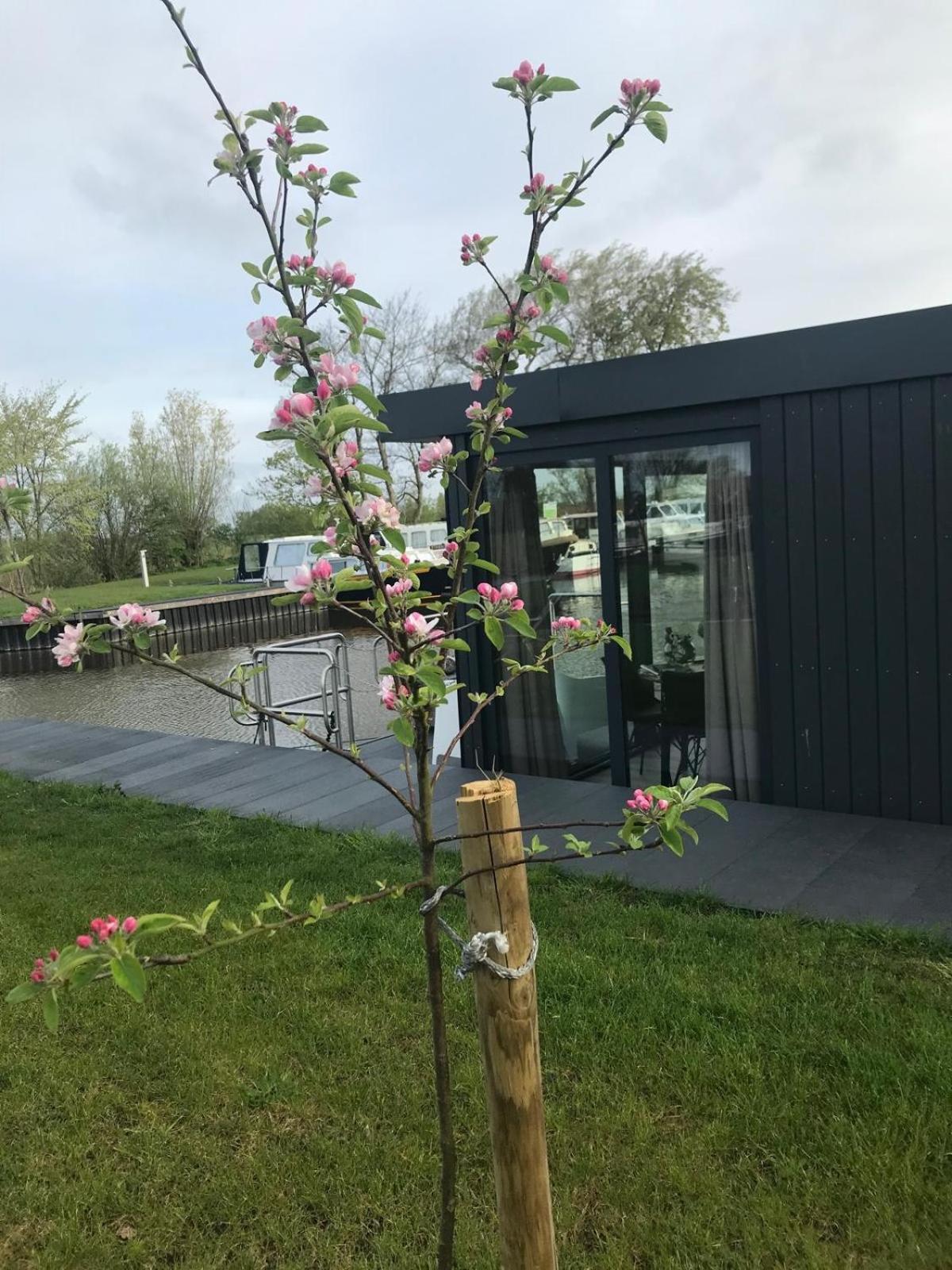 Uniek Overnachten In Een Tiny House Op De Appelhof Wommels Bagian luar foto
