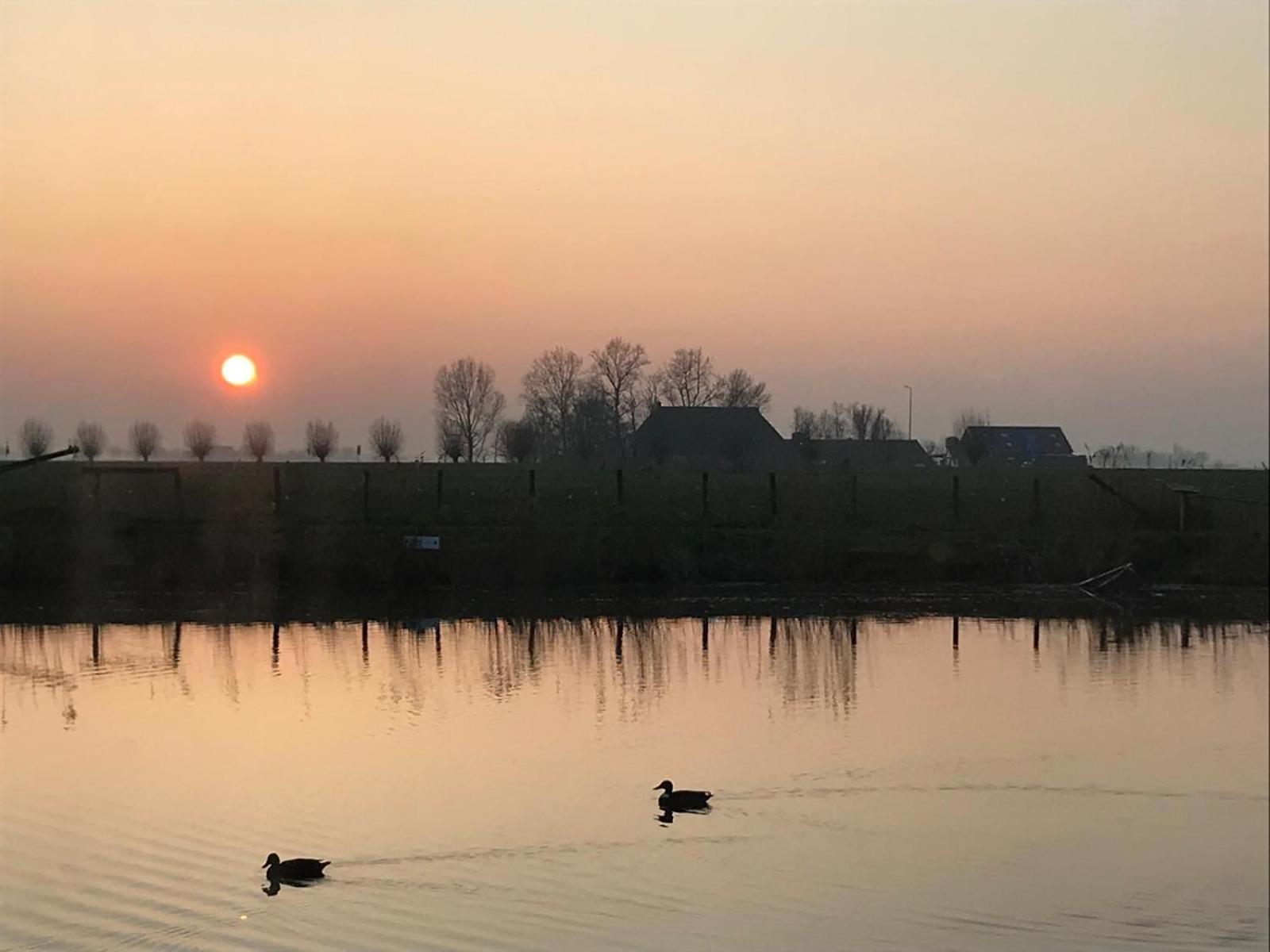 Uniek Overnachten In Een Tiny House Op De Appelhof Wommels Bagian luar foto